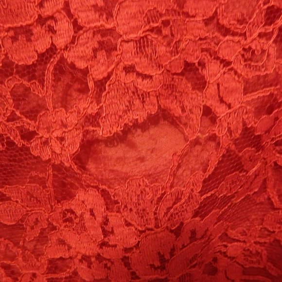 Vintage Jeanne D'Arc Lace Sheath Dress - Picture 3 of 11